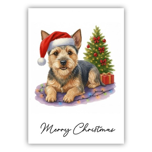 Australian terrier christmas - terrier,