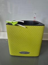 Lechuza self watering planter