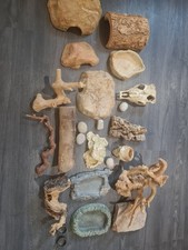 vivarium full setuo plus