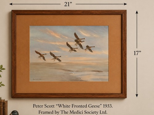 Vintage peter scott white - vintage,