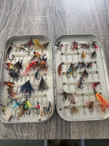 Box salmon and - box, trout