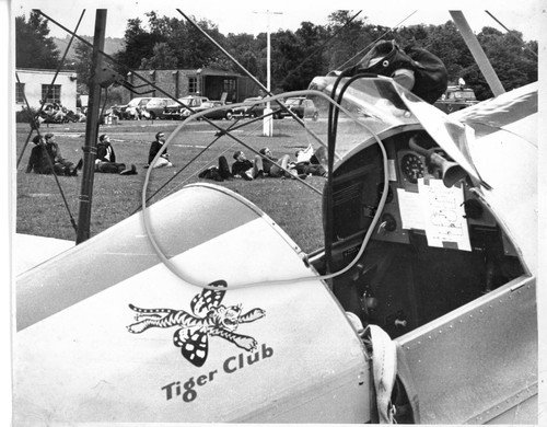 Tiger moth original - tiger,