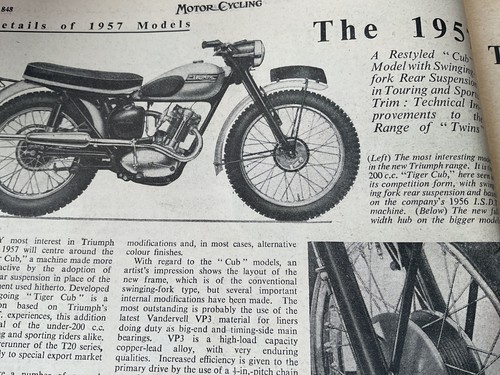 Triumph for cub t20 - triumph, tiger