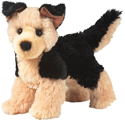 Douglas sheba german shepherd - douglas,
