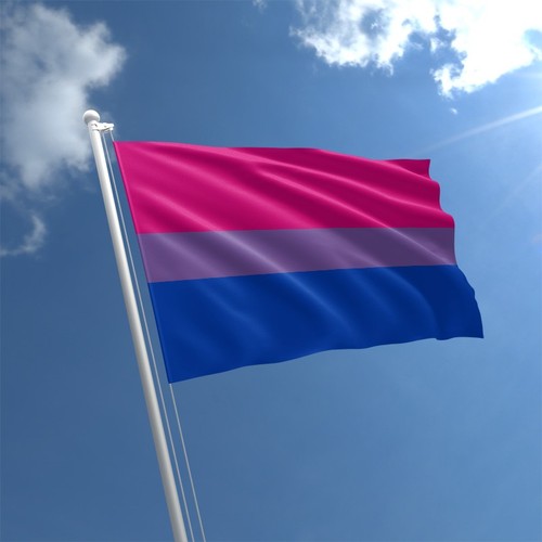 Pride 5ftx3ft flag lgbtq - flag, bn