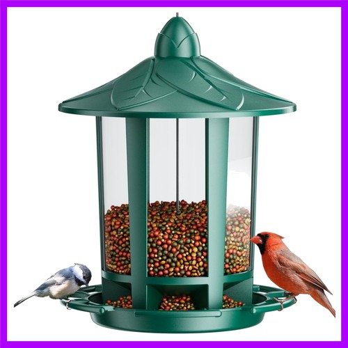 Bird feeders for outdoor - feeders,