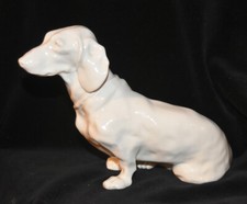 Nymphenburg Germany Dachshund