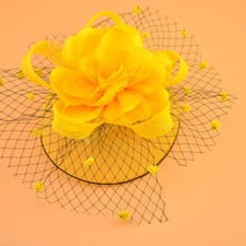 Mesh Wedding Feather Hair Hat Fascinator Royal Ascot Formal Flower Headband Clip