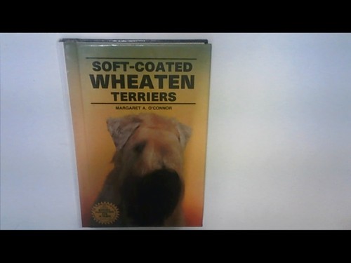 Soft coated wheaten - coated, terriers