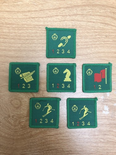 Old brownie badges - old,