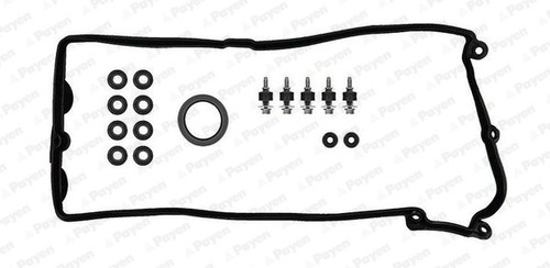Payen hm5296 gasket set - gasket,