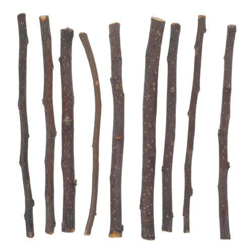 Birch branches for - birch, crafts