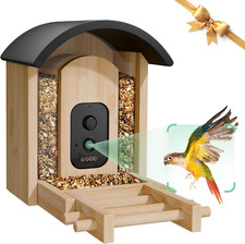Bird Feeder with Camera, Smart