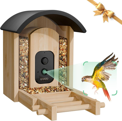 Smart bird feeder - smart, camera