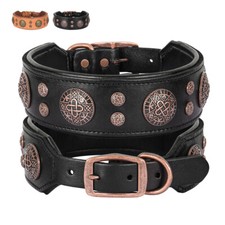 Luxurious Studded Leather Dog