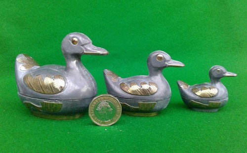 Selection duck sea bird - sea,