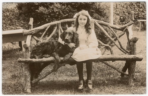 Flat coated retriever girl - coated,