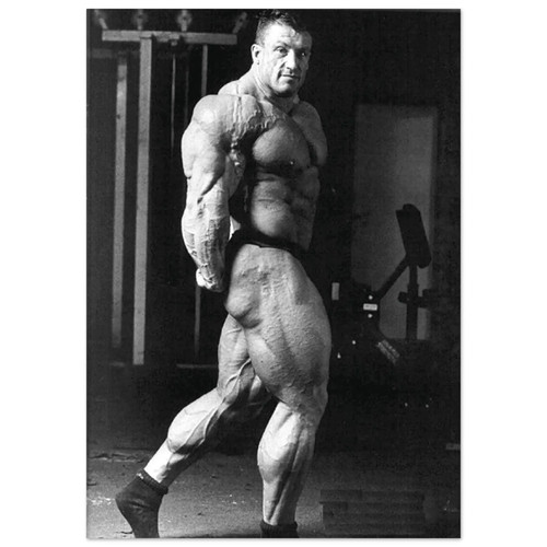 Dorian yates poster - dorian,