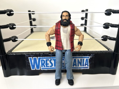 Wwe luke harper - wwe,