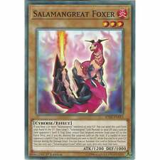 Salamangreat Foxer - SDSB-EN013 - Common Card - 1st Edition - Yu-Gi-Oh TCG