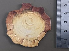 OOp GW 1980s Advanced