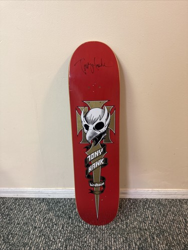 Tony hawk bird - hawk, falcon