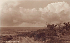 Postcard devon judges - -, ltd