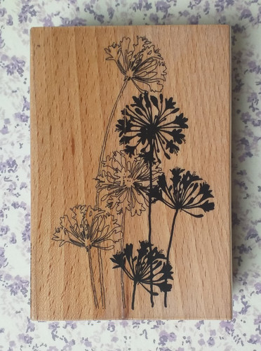 Rubber ink stamp agapanthus - stamp,