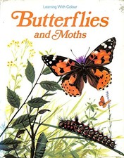 Butterflies and Moths