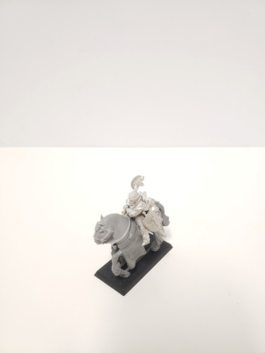 Bretonnian lord duke - bretonnian,