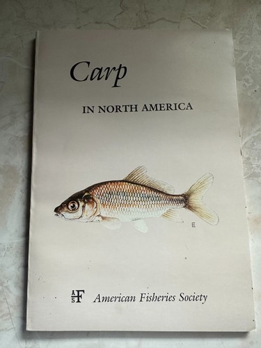 Carp north america - carp, edwin