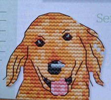 Golden Labrador Cross Stitch Chart By Jenny Barton