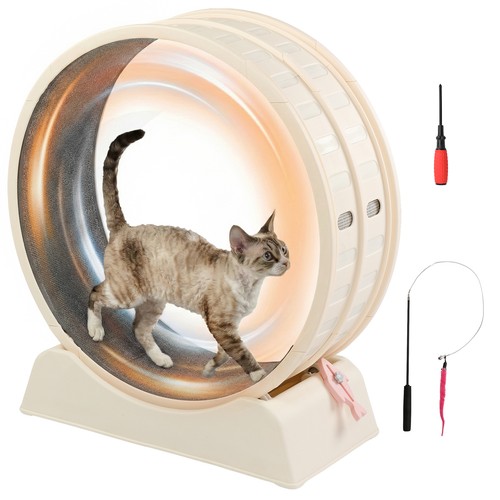 Cats exercise wheel - exercise, with