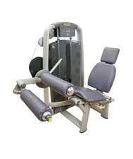 Technogym Selection Leg Curl