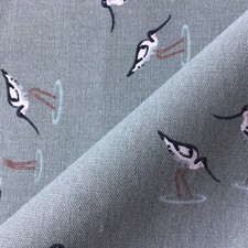 Sophie Allport Coastal Birds