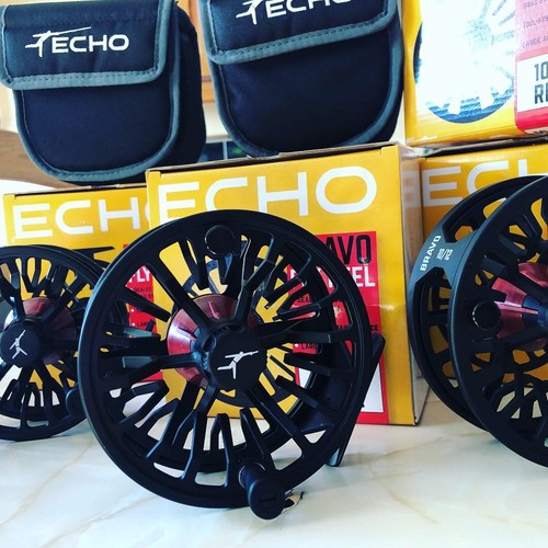 Echo bravo large arbor sealed - echo,