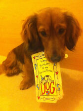 EDIBLE RAWHIDE BIRTHDAY CARD FOR YOUR DOG A REAL TREAT INC ENVELOPE GREAT FUN