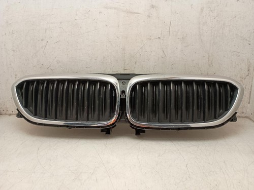 Grille bmw series door - grille, 5