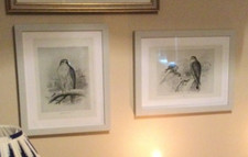 Antique Black and White Prints