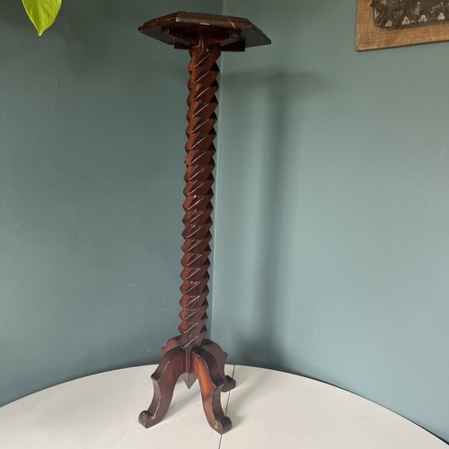 Vintage slim pine plant - slim, stand