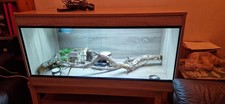 Reptile Vivarium Bearded