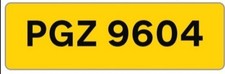 PGZ 9604 DATALESS PRIVATE