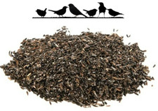 Nyjer Niger Thistle High Energy Seed Wild Bird Goldfinch Siskin Premium Quality