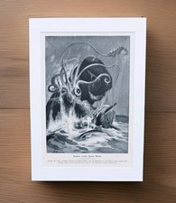Kraken Giant Squid Sperm Whale Sea Monsters Legend Myth vintage 1914 print