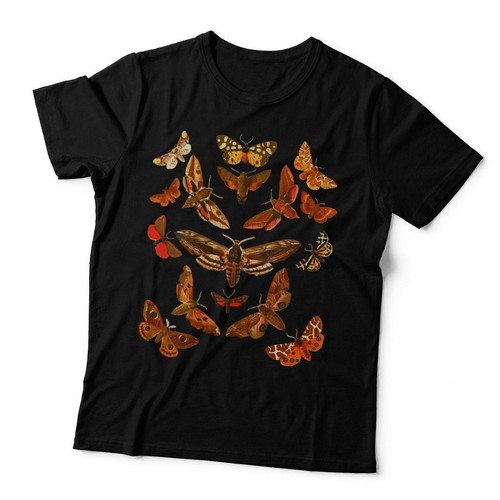 Insect bug collection vintage - insect,