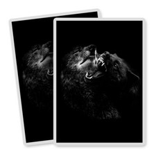 2x Vertical Vinyl Stickers Fierce Black Wolves Wolf Dog Fight #52841