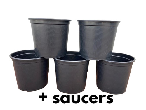 X15 litre extra - litre,