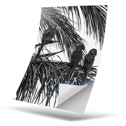 Vinyl sticker bw - -,