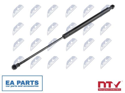 Gas spring boot cargo area - gas, boot/cargo