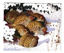 C F TUNNICLIFFE CHRISTMAS CARD PARTRIDGES UNDER A HOLLY BUSH BIRD ARTIST